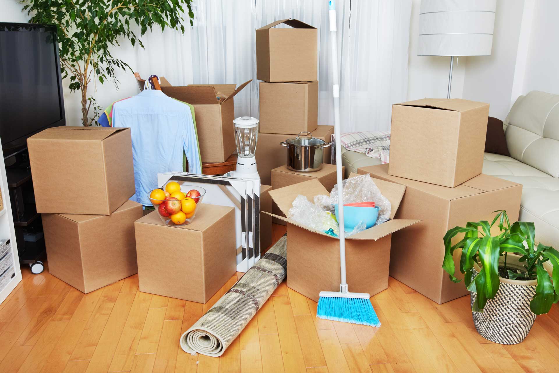 move-in-out-professional-deep-cleaning-services